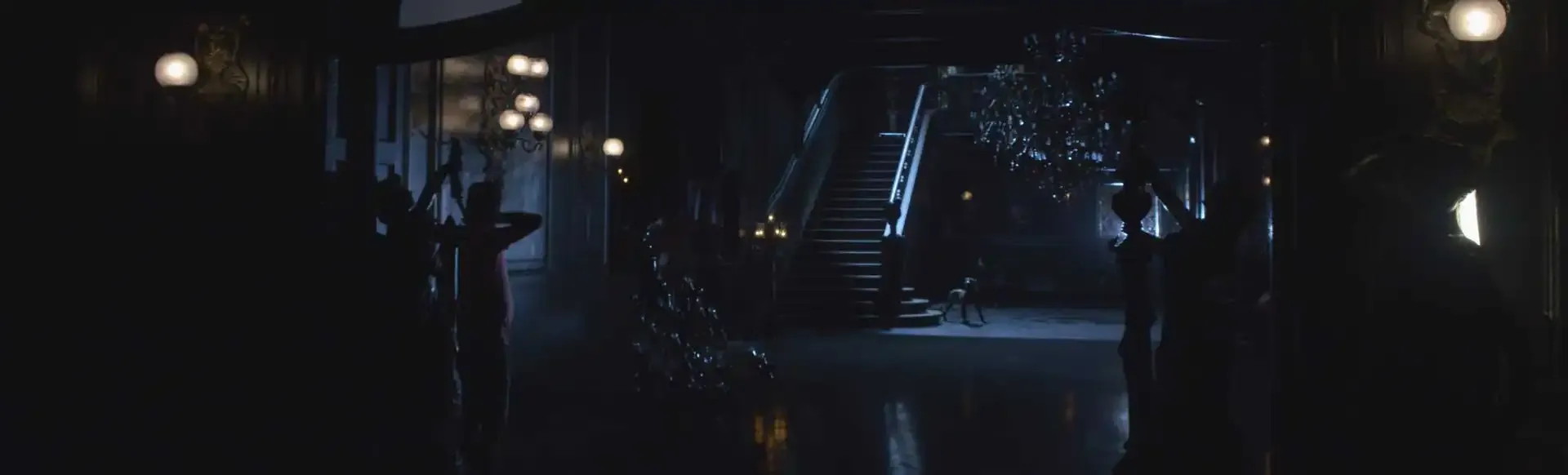 Patrizio Patrizi - Cinematographer